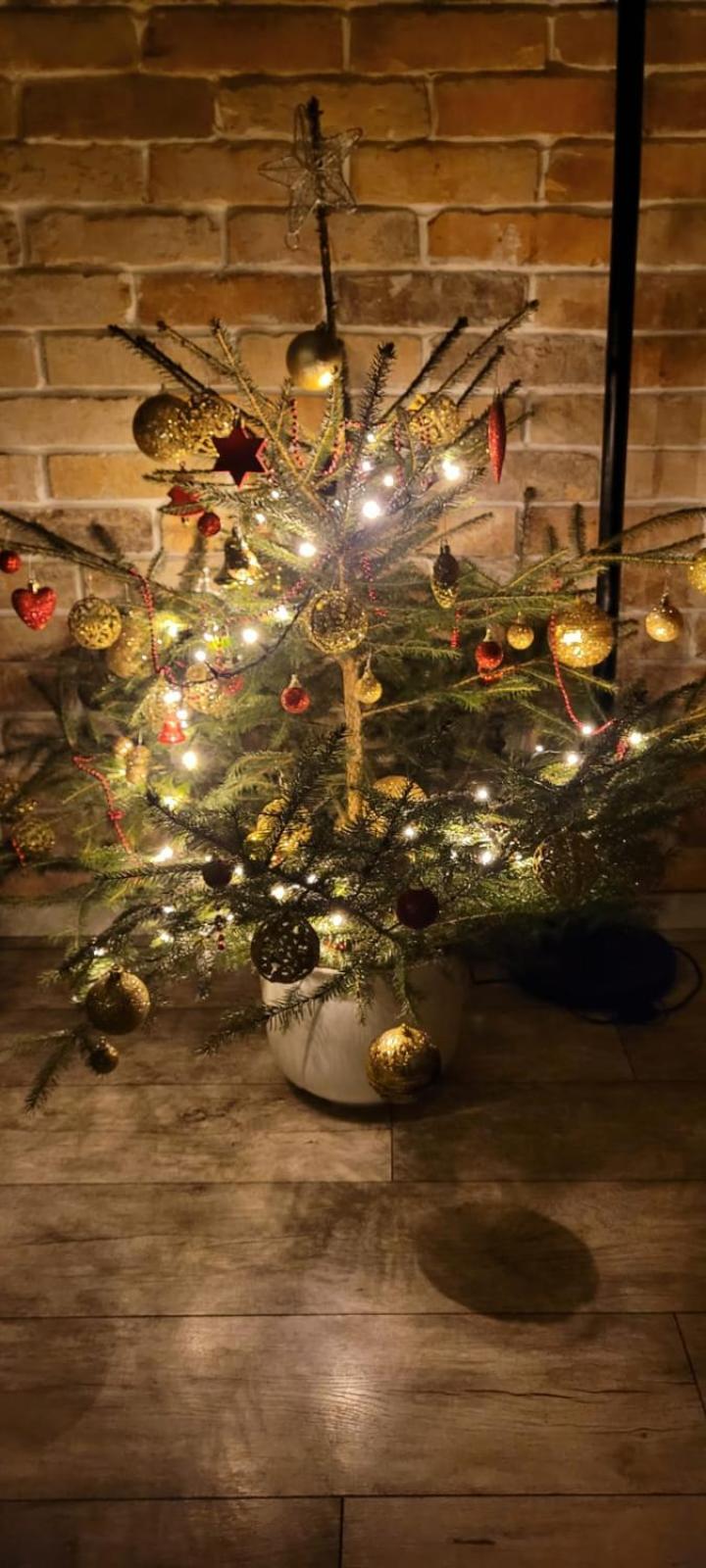 Domek Na Pagorku Lwowek Slaski Exteriör bild